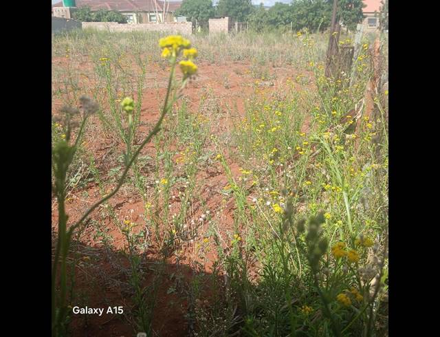 LAND FOR SALE IN MOKOPANE RURAL